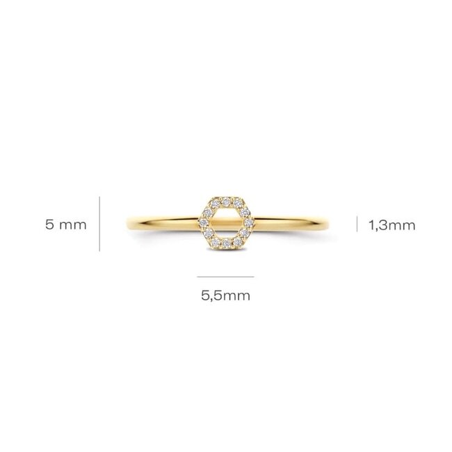 Blush Blush Ring 1287YZI/54 14k Geelgoud met Zeshoek Zirkonia Maat 54