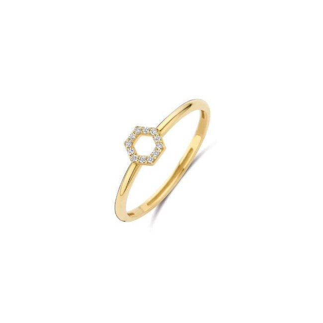 Blush Blush Ring 1287YZI/54 14k Geelgoud met Zeshoek Zirkonia Maat 54
