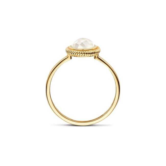Blush Blush Ring 1291YMQ/54 14k Geelgoud met Mother of Pearl Maat 54