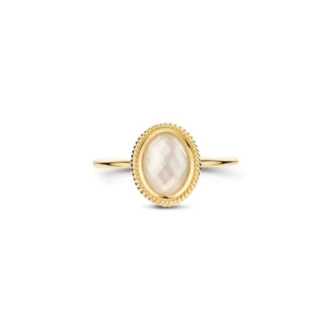 Blush Blush Ring 1291YMQ/54 14k Geelgoud met Mother of Pearl Maat 54