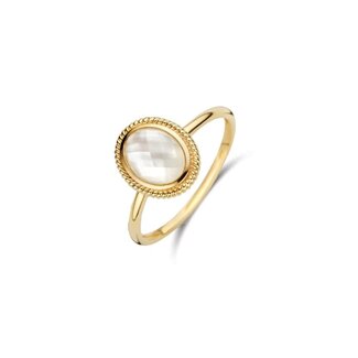 Blush Blush Ring 1291YMQ/54 14k Geelgoud met Mother of Pearl Maat 54