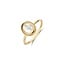 Blush Blush Ring 1291YMQ/54 14k Geelgoud met Mother of Pearl Maat 54