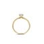 Blush Blush Ring LG1075Y/54 14k Geelgoud met 0.50ct G SI Labgrown Diamant maat 54