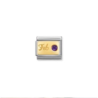 Nomination Nomination Schakel 030519/02 Composable Classic Staal met 18k Geelgoud Geboortesteen Februari Amethyst