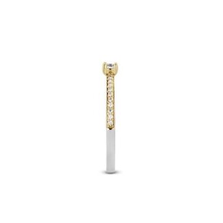 Ti Sento Milano Ti Sento Ring 1869ZY/54 Zilver Bi-color en Zirkonia Maat 54