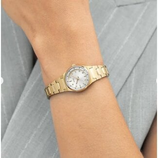 BOSS Boss Horloge HB1502863 Candor Cracey Goudkleurig Staal Quartz met Zilverkleurige Wijzerplaat 20mm