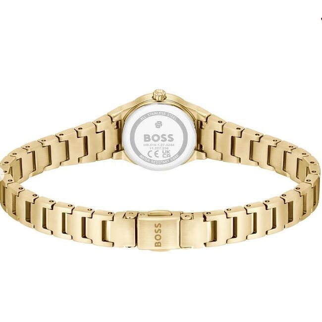 BOSS Boss Horloge HB1502863 Candor Cracey Goudkleurig Staal Quartz met Zilverkleurige Wijzerplaat 20mm