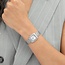 BOSS Boss Horloge HB1502882 Mae Petite Staal Quartz met Zilverkleurige Wijzerplaat met Zirkonia 22mm