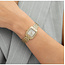 BOSS Boss Horloge HB1502883 Mae Petite Goudkleurig Staal Quartz met Goudkleurige Wijzerplaat met Zirkonia22mm