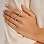 Ti Sento Milano Ti Sento Ring 12445ZY/54 Zilver Bi-color met Zirkonia Maat 54