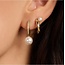 Ti Sento Milano Ti Sento Oorbellen 78092YP Zilver met Geelgouden Plating en Parel en Zirkonia 7mm