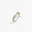 Ti Sento Milano Ti Sento Ring 12443ZY/56 Zilver Bi-color met Zirkonia Maat 56