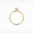 Blush Blush Ring LG1076Y/54 14k Geelgoud met 0.50ct G Si Labgrown Diamant Maat 54