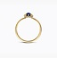 Blush Blush Ring LG1082Y/54 14k Geelgoud met 0.13crt G SI Labgrown Diamant en 0.50crt Labrown Saffier