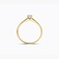 Blush Blush Ring LG1079Y/54 14k Geelgoud met 0.20crt G SI Labgrown Diamant Maat 54