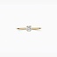Blush Blush Ring LG1079Y/54 14k Geelgoud met 0.20crt G SI Labgrown Diamant Maat 54