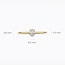 Blush Blush Ring LG1078Y/54 14k Geelgoud met 0.20crt G SI Ovale Labgrown Diamant Maat 54
