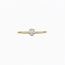 Blush Blush Ring LG1078Y/54 14k Geelgoud met 0.20crt G SI Ovale Labgrown Diamant Maat 54