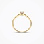 Blush Blush Ring LG1078Y/54 14k Geelgoud met 0.20crt G SI Ovale Labgrown Diamant Maat 54
