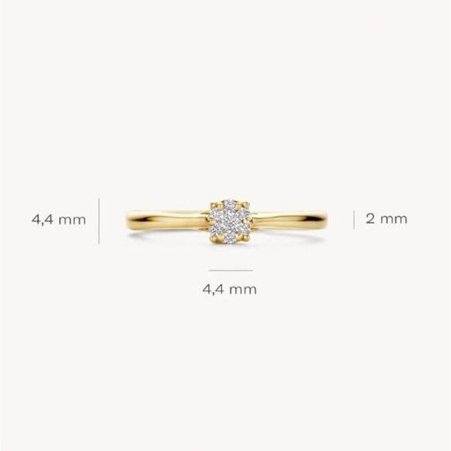 Blush Blush Ring 1665YDI/54 14K Geelgoud met 0.10crt Briljant geslepen Diamant Maat 54