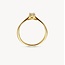 Blush Blush Ring 1665YDI/54 14K Geelgoud met 0.10crt Briljant geslepen Diamant Maat 54