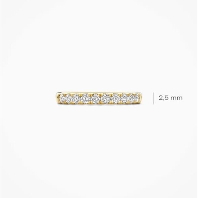 Blush Blush Ring LG1014Y/54 14k Geelgoud 10 x 0.48crt Labgrown Diamanten Maat 54