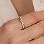 Blush Blush Ring LG1060B/54 14k Bi-color Goud met 0.14crt en 0.14crt H SI Labgrown Diamant Maat 54