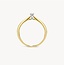 Blush Blush Ring 1621BDI/54 14k Geelgoud met 0.06ct Diamant Maat 54