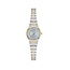 BOSS BOSS Horloge HB1502862 Candor Gracey Staal Bi-color Quartz 20mm