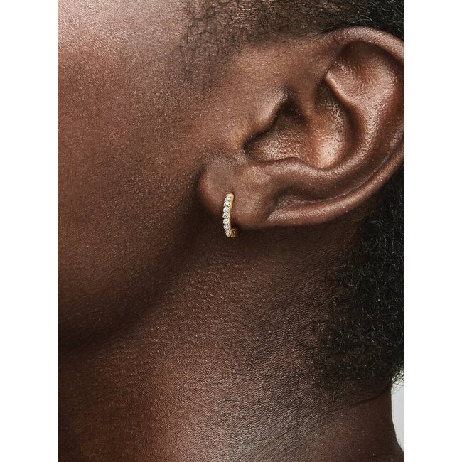 Pandora Pandora Oorbellen 263015C01 Zilver 14k Geelgouden Plating met Zirkonia 11mm
