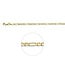 The House Of Blinckers THOB Collier 40.04014 14k Geelgoud Figaro 3.1mm x 50cm