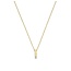 Ti Sento Milano Ti Sento Collier 34131ZY/42 Zilver met Geelgouden Plating en Zirkonia 42cm