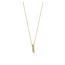 Ti Sento Milano Ti Sento Collier 34131ZY/42 Zilver met Geelgouden Plating en Zirkonia 42cm
