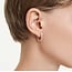 Swarovski Swarovski Oorbellen 5743798 Dextera Rosekleurig met Kristallen