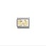 Nomination Nomination Schakel 030167-03  Composable Classic Staal met 18k Geelgouden Tweeling
