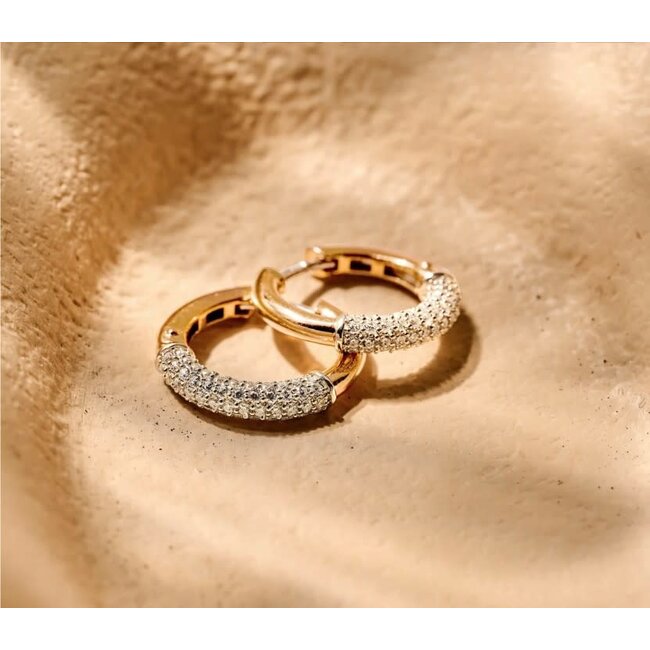 Ti Sento Milano Ti Sento Oorbellen 78088ZY Zilver Bi-color met Zirkonia 3mm x 17.5mm