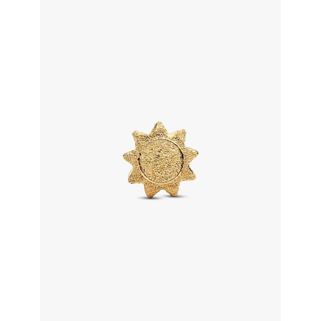 Pandora Pandora Bedel 764052C00 Zilver met 14k geelgouden Plating Mini Zon Getextureerd