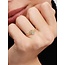 Pandora Pandora Ring 162674C01-52 Zilver met 14k Geelgouden Plating Zon met Zirkonia Maat 52