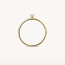 Blush Blush Solitair Ring 1200YZI/54 14k Geelgoud met Briljant geslepen Zirkonia Maat 54