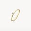 Blush Blush Solitair Ring 1200YZI/54 14k Geelgoud met Briljant geslepen Zirkonia Maat 54