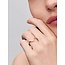 Pandora Pandora Ring 165084C01-52 Tiara met 14k Geelgouden Plating en Cubic Zirkonia Maat 52