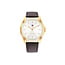 Tommy Hilfiger Tommy Hilfiger Horloge TH1792204 Bruce Staal met Geelgouden Plating en Bruin Leren Horlogeband 43mm