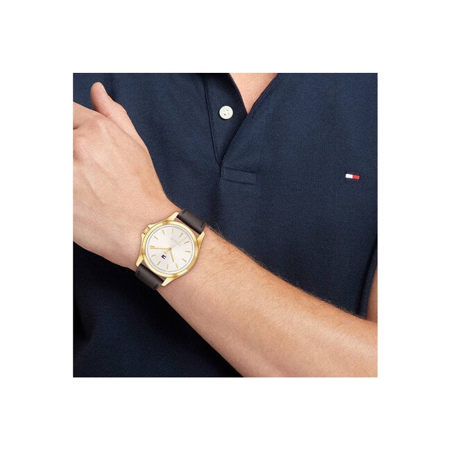 Tommy Hilfiger Tommy Hilfiger Horloge TH1792204 Bruce Staal met Geelgouden Plating en Bruin Leren Horlogeband 43mm
