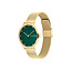 Tommy Hilfiger Tommy Hilfiger Horloge TH1782668 Pippa Staal met Geelgouden Plating met Groene Wijzerplaat 34mm