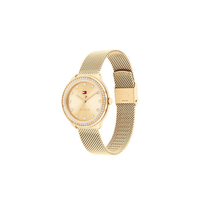 Tommy Hilfiger Tommy Hilfiger Horloge TH1782699 Demi Staal met Geelgouden Plating Quartz met Zirkonia 33mm