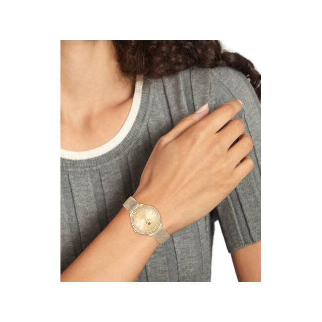 Tommy Hilfiger Tommy Hilfiger Horloge TH1782699 Demi Staal met Geelgouden Plating Quartz met Zirkonia 33mm
