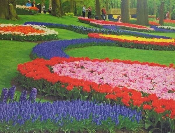 Diamond Painting Bloemen Oase H381 40 cmx 50 cm