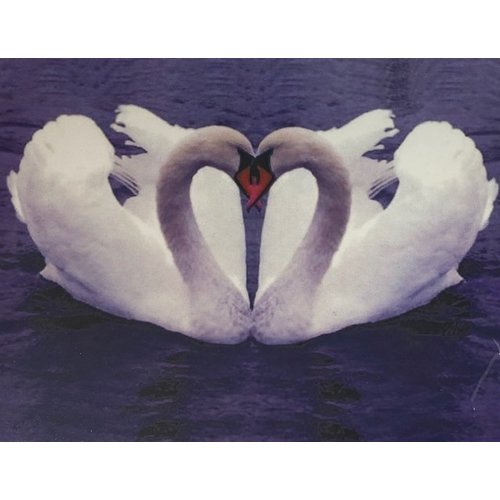 Diamond Painting 2 Zwanen H336 40 cm x 50 cm Diamond Painting 2 Zwanen H336 40 cm x 50 cm