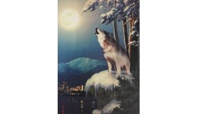 Diamond Painting Wolf H346 40 cm x 50 cm