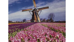 Diamond Painting Molen en Tulpen J0499 30 cm x 40 cm